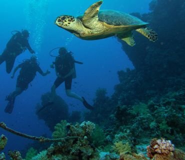 Dive Center